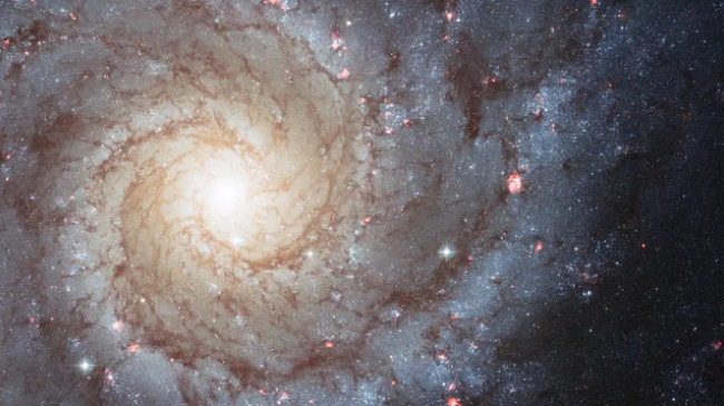Inteligjenca Artificiale mund të kthehet në një mjet perfekt për të eksploruar universin