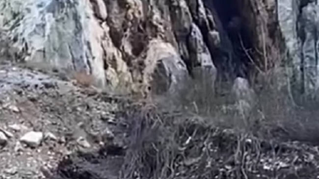 Rrëqebulli i Ballkanit filmohet në Parkun Natyror Korab-Koritnik [Video]
