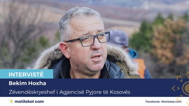 Prerja ilegale dhe zjarret në pyje vazhdon të jetë problem në Kosovë