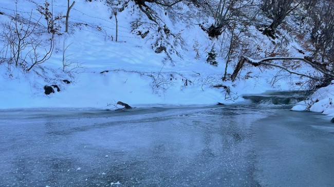 Sot dhe fundjavë mot me diell, mëngjeset me ngrica e mjegull në Kosovë
