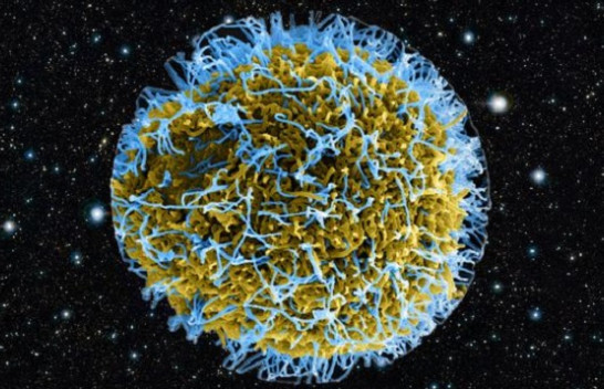 Sa viruse ka në planetin tonë?