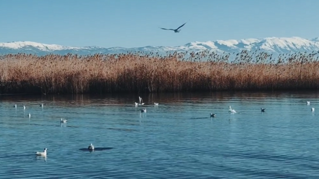 Parashikimi i motit për sot dhe të enjten në Maqedoni