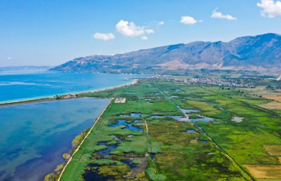 Biodiversiteti dhe problematikat e tij në bregdetin shqiptar
