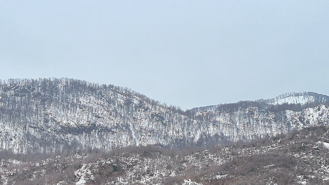 Reshje shiu, borë dhe shtrëngata në Shqipëri