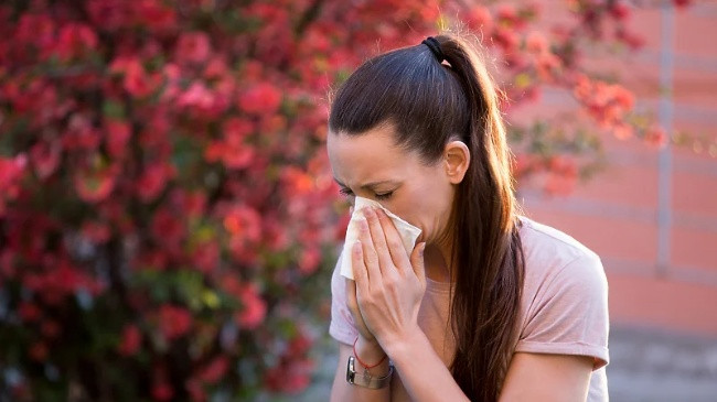 Për shkak të ndryshimeve klimatike, sezoni i alergjive ndaj polenit mund të fillojë 40 ditë më herët