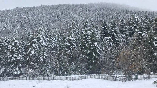 Bora zbardh Parkun Kombëtar 'Bredhi i Hotovës – Dangëlli'