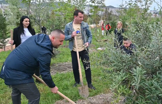 Dita e Tokës, Veliaj: E mbyllim këtë sezon me 114 mijë pemë të mbjella në Tiranë
