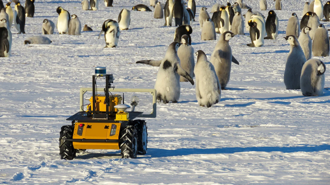 Roboti Echo që 'spiunon' pinguinët në Antarktidë