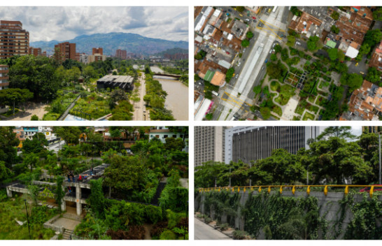 Kolumbi, qyteti Medellin synon të thyejë rekordin botëror Guinness me gjelbërimin urban