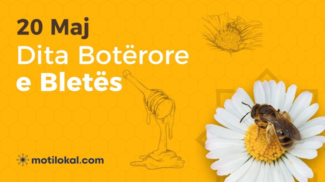 Sot Dita Botërore e Bletës