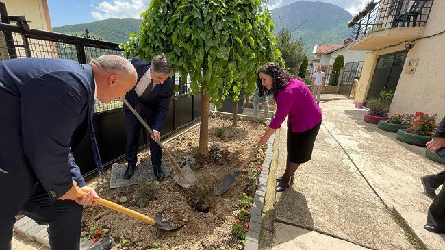 Për herë të parë në Kosovë mbjellët pema Manuka