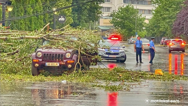 Erërat e forta rrëzojnë pemët në Prishtinës, vdes një person