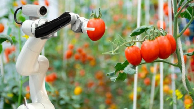 Përparimet teknologjike në fushën e robotikës