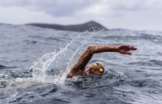'Sirena e akullit', notarja kiliane shënon rekord në ujërat e ftohtë pranë Kepit Horn