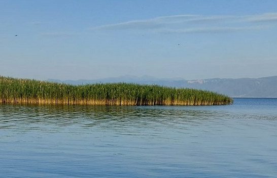 Mësoni si do të jetë moti sot dhe fundjavë në Maqedoni