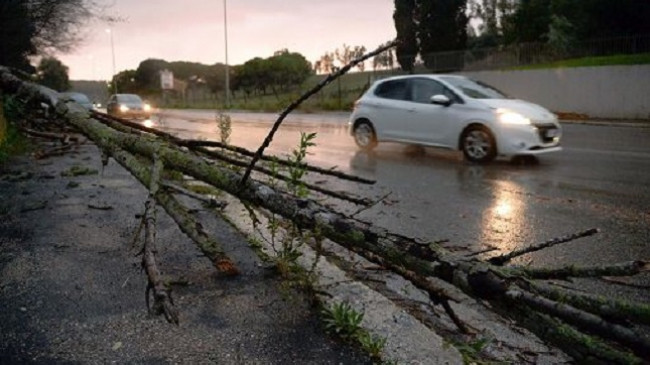 Roma goditet nga një stuhi e fortë, pemë të shkulura e makina të dëmtuara