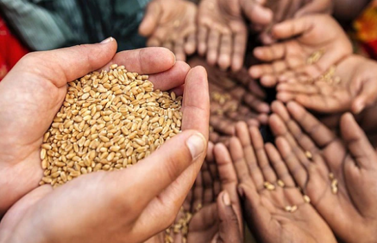 FAO: 2.3 miliardë njerëz përballen me pasiguri ushqimore