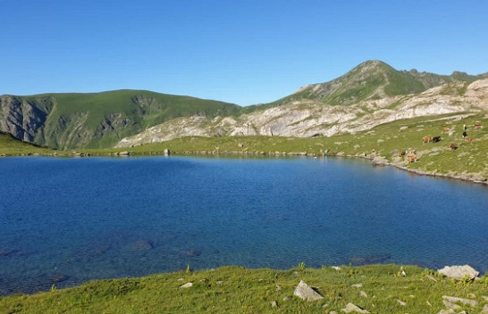 Kumbaro: Liqeni i Dashit me një peizazh piktoresk është kthyer në një destinacion turistik