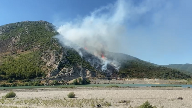 Tjetër vatër zjarri në Lezhë, digjet një sipërfaqe pyjore pranë Urës së Zogut