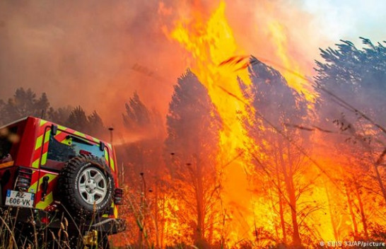 Bashkimi Europian regjistron zjarret më të rënda pyjore që nga viti 2006
