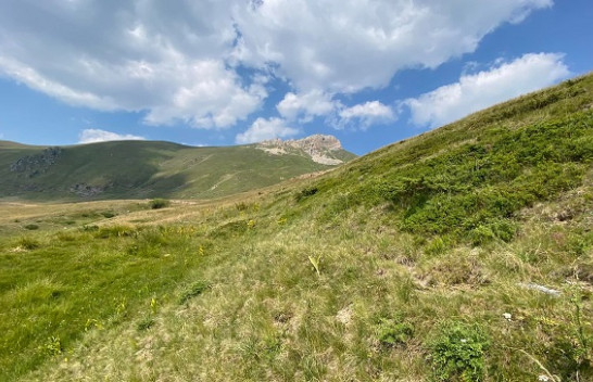 Vranësira dhe rrebeshe shiu në Shqipëri