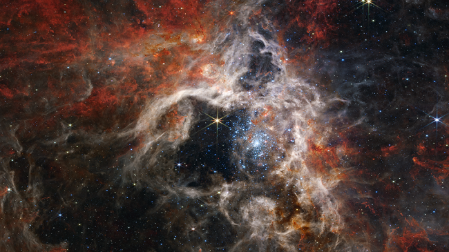 Mjegullnaja Tarantula kapet në detaje të qarta nga teleskopi Webb i NASA-s