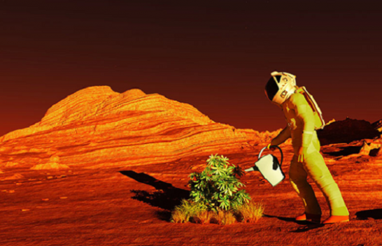 Rrezatimi kozmik mund të prishë planet për bujqësi në Mars