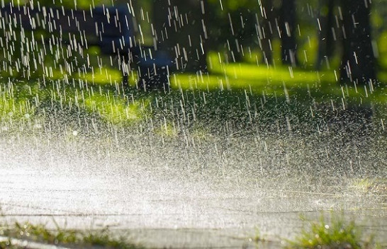Qytetet ku bie më shumë shi në botë