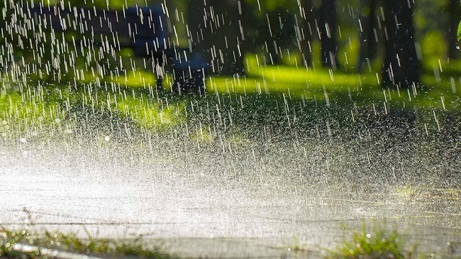 Qytetet ku bie më shumë shi në botë