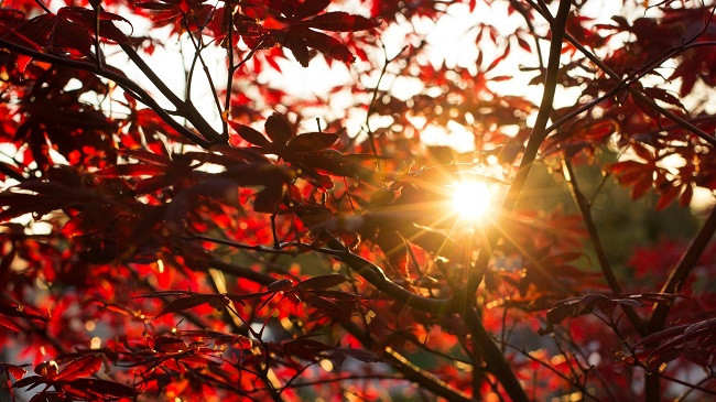 Diell dhe ngrohtë gjatë gjithë javës në Kosovë