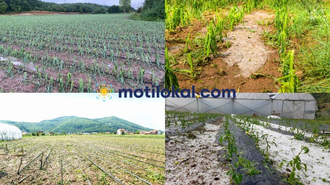 Moti ekstrem, çfarë ndikimi pritet të ketë në sektorin e bujqësisë?!
