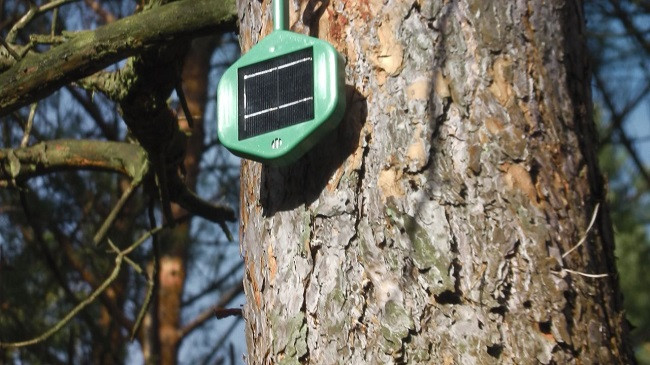 Si mund të ndihmojë në luftimin e zjarreve malore një ‘hundë elektronike’