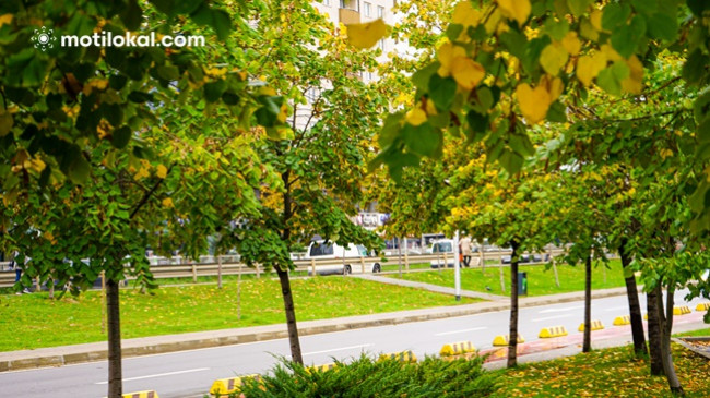 Çfarë parashikojnë meteorologët për sot e nesër në Kosovë?