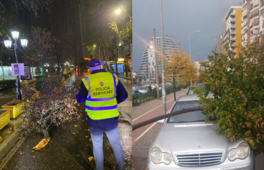 Stuhia e fortë me reshje shiu shkakton probleme në Tiranë, disa pemë të rrëzuara