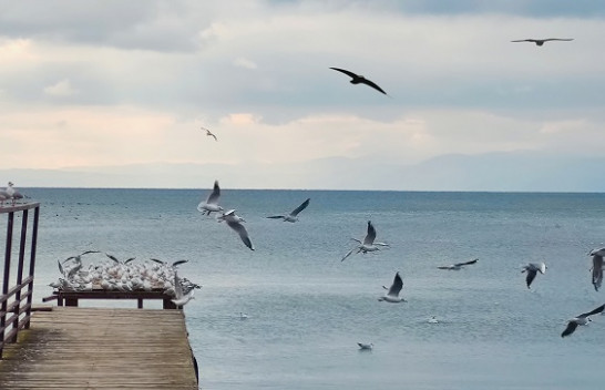 Mësoni si parashihet të mbajë moti në Maqedoni