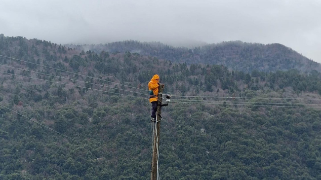 Shi dhe erë e fortë, probleme me energjinë elektrike në disa zona të Shqipërisë