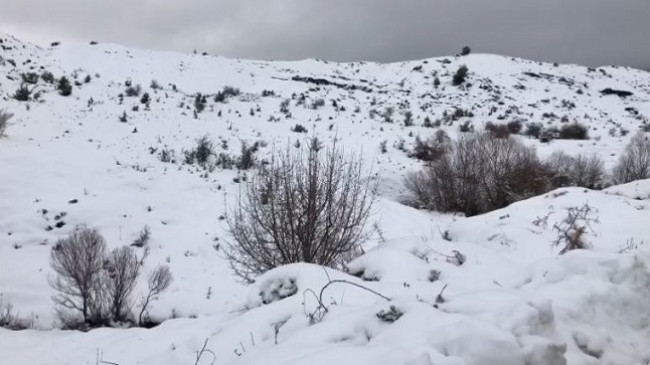 Malësia e Krujës mbulohet nga bora