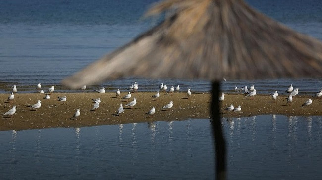 Rama: Ruajtja e bukurive natyrore dhe pastrimi përkthehen në pasuri turistike