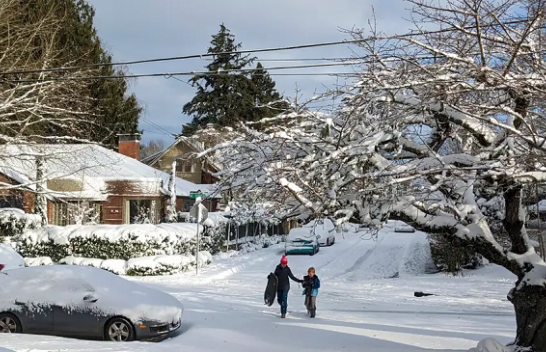 Kalifornia Jugore goditet nga stuhia e borës, alarmi i parë që nga viti 1989