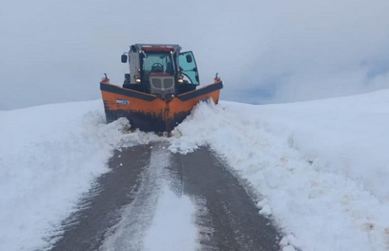 Korçë, pastrohet nga bora aksi rrugor Shtyllë-Panarit