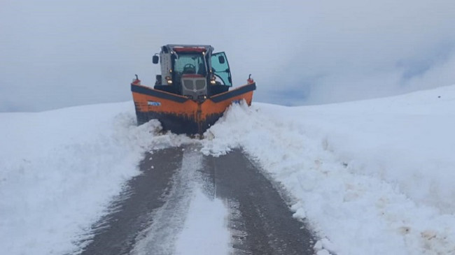 Korçë, pastrohet nga bora aksi rrugor Shtyllë-Panarit