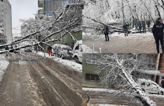 Rrezohen drunjtë në Prishtinë nga reshjet e borës