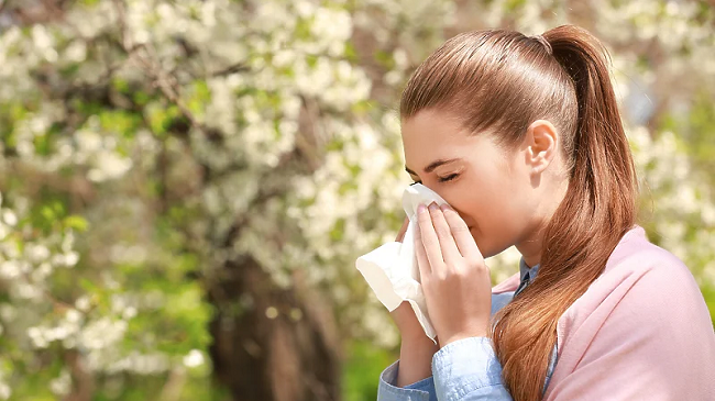 Ushqimet që duhet të shmangni nëse keni alergji ndaj polenit