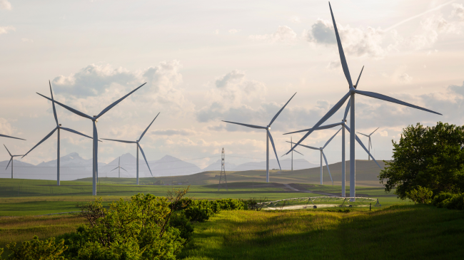 Polonia: Kufizon prodhimin e energjisë së rinovueshme për shkak të mbifurnizimit