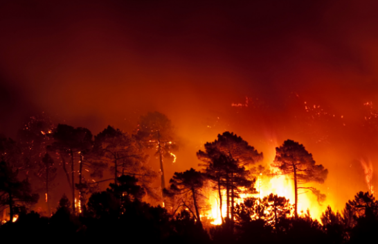 Bashkimi Evropian përgatitet për nxehtin ekstrem, dyfishon kapacitetet për luftimin e zjarreve