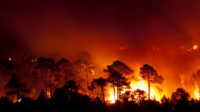 Bashkimi Evropian përgatitet për nxehtin ekstrem, dyfishon kapacitetet për luftimin e zjarreve