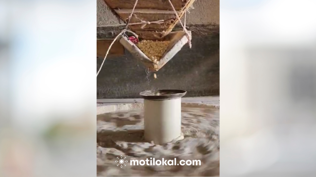 Mulliri i vjetër me ujë, një traditë që ruhet brez pas brezi [Video]