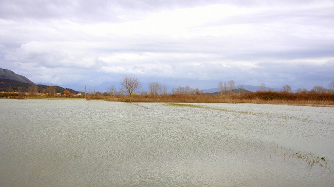 Në këto zona të Shqipërisë priten vërshime