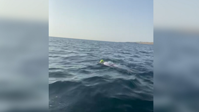 Historike, atletja shqiptare not nga Otranto për në Vlorë/ VIDEO