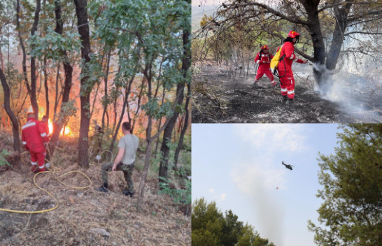 Kjo është situata me zjarret në Shqipëri